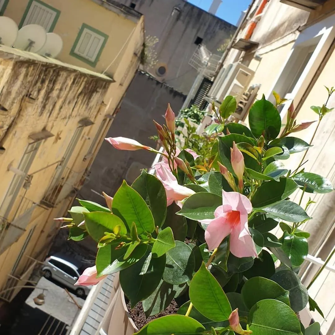 Santa Chiara Inn Naples Bed & Breakfast